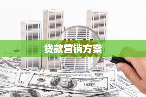 芦淞贷款营销方案